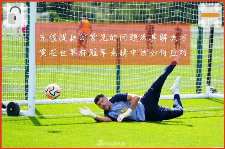 充值提款时常见的问题及其解决方案在世界杯冠军竞猜中该如何应对