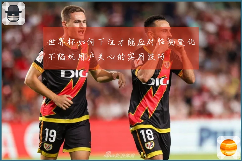 世界杯如何下注才能应对临场变化不陷坑用户关心的实用技巧