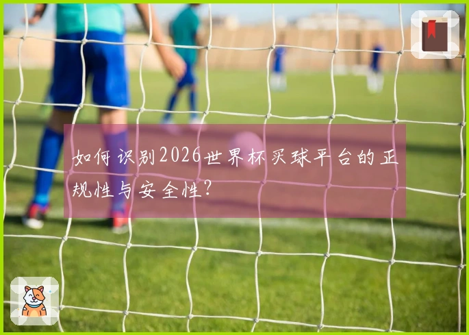 如何识别2026世界杯买球平台的正规性与安全性？