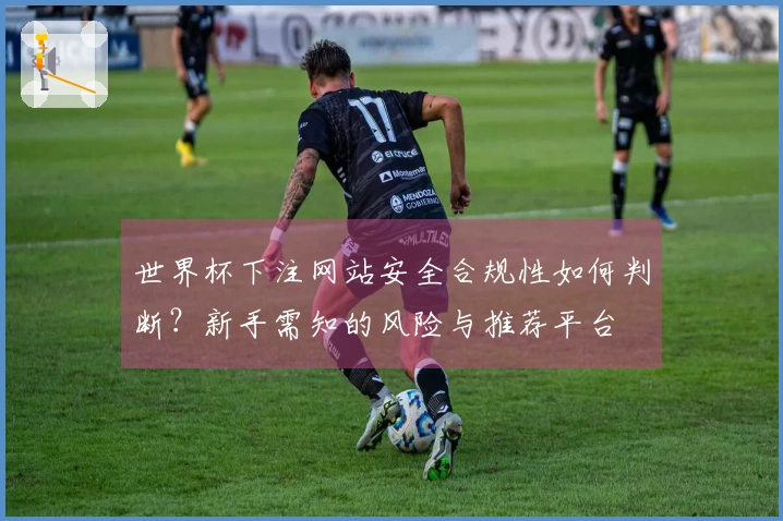 世界杯下注网站安全合规性如何判断？新手需知的风险与推荐平台